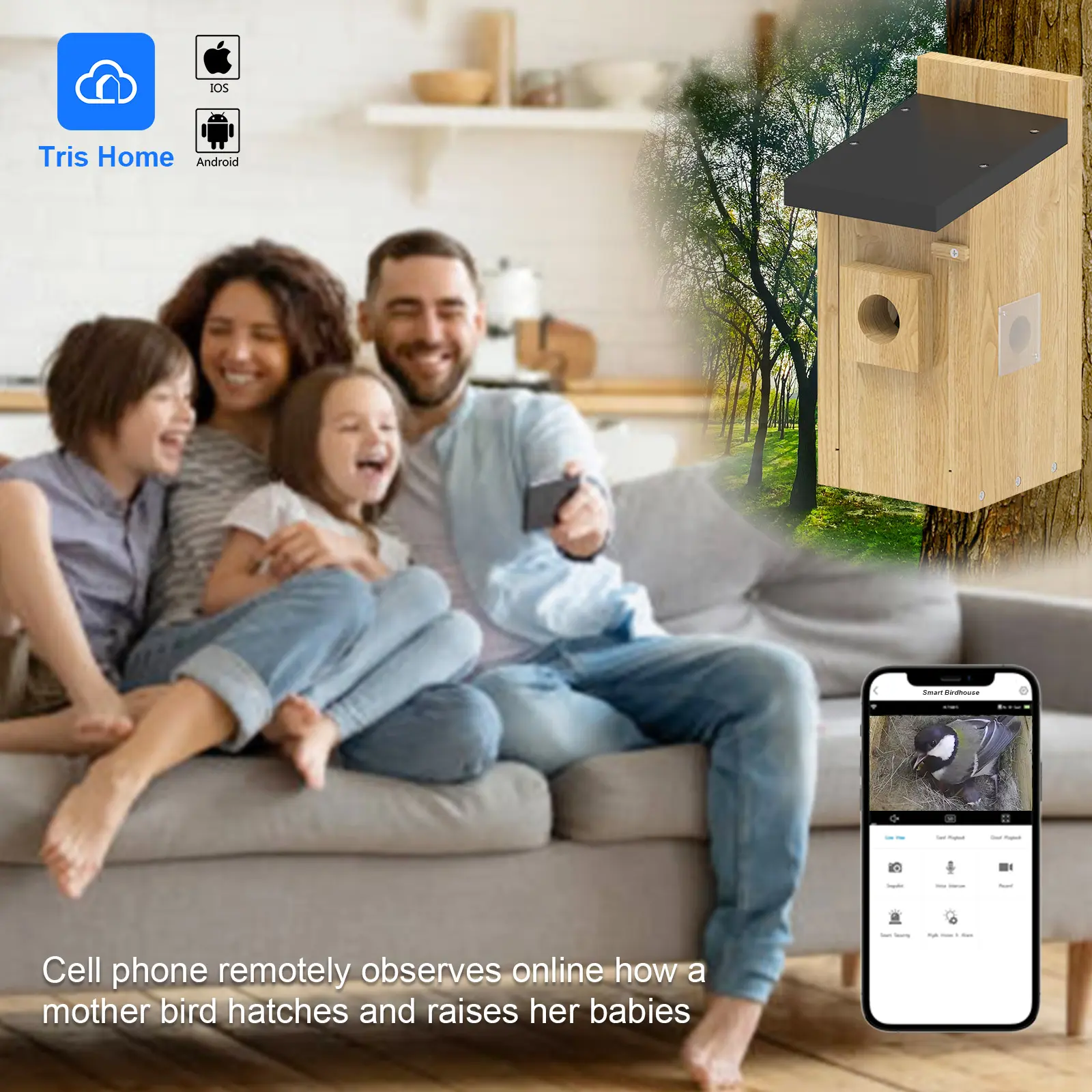 Customizable Modern Style Solid Wood Pet Cage Eco-friendly Remote Controlled Birdhouse for Birds Bees Stylish Garden Supplies