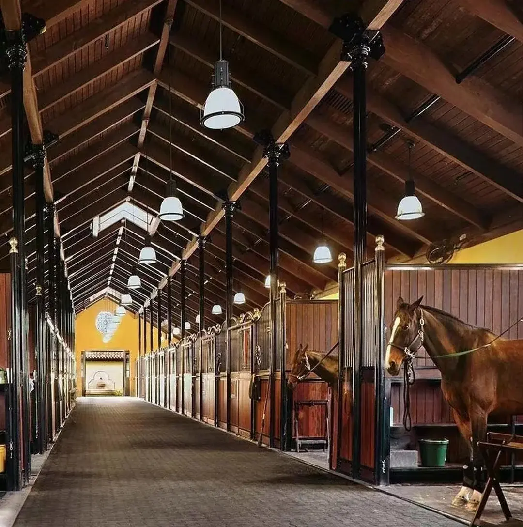 Equestrian barns european style fancy horse stable equipments for sale