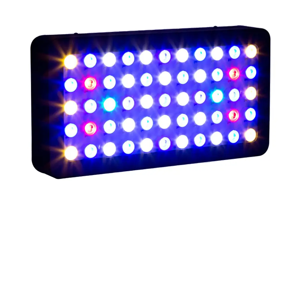324