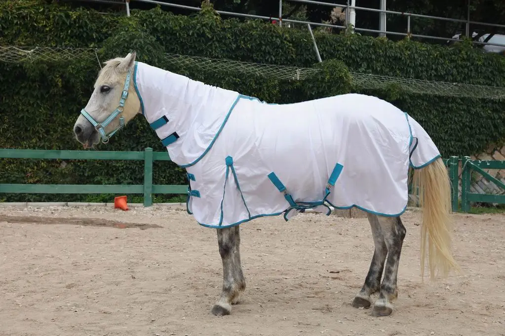 Horse Fly Sheet Wholesale Equine Products Horse Equipment Blanket Hooded Horse Fly Mesh Rug