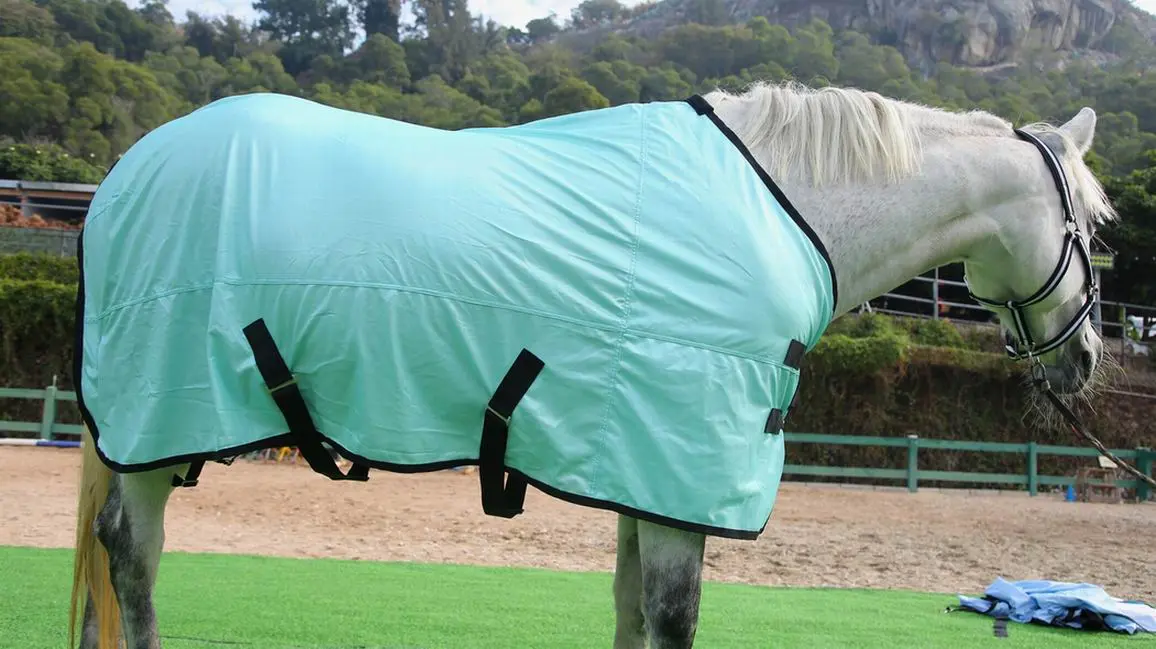 Horse Fly Sheet Wholesale Equine Products Horse Equipment Blanket Hooded Horse Fly Mesh Rug