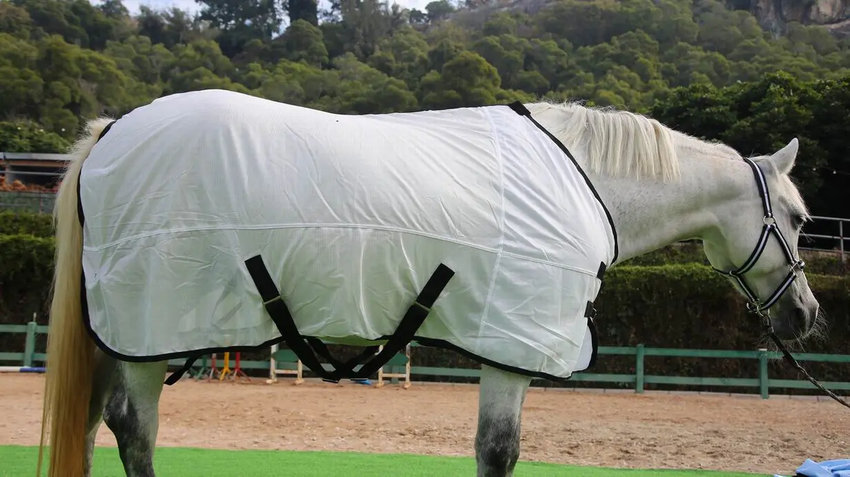 Horse Fly Sheet Wholesale Equine Products Horse Equipment Blanket Hooded Horse Fly Mesh Rug