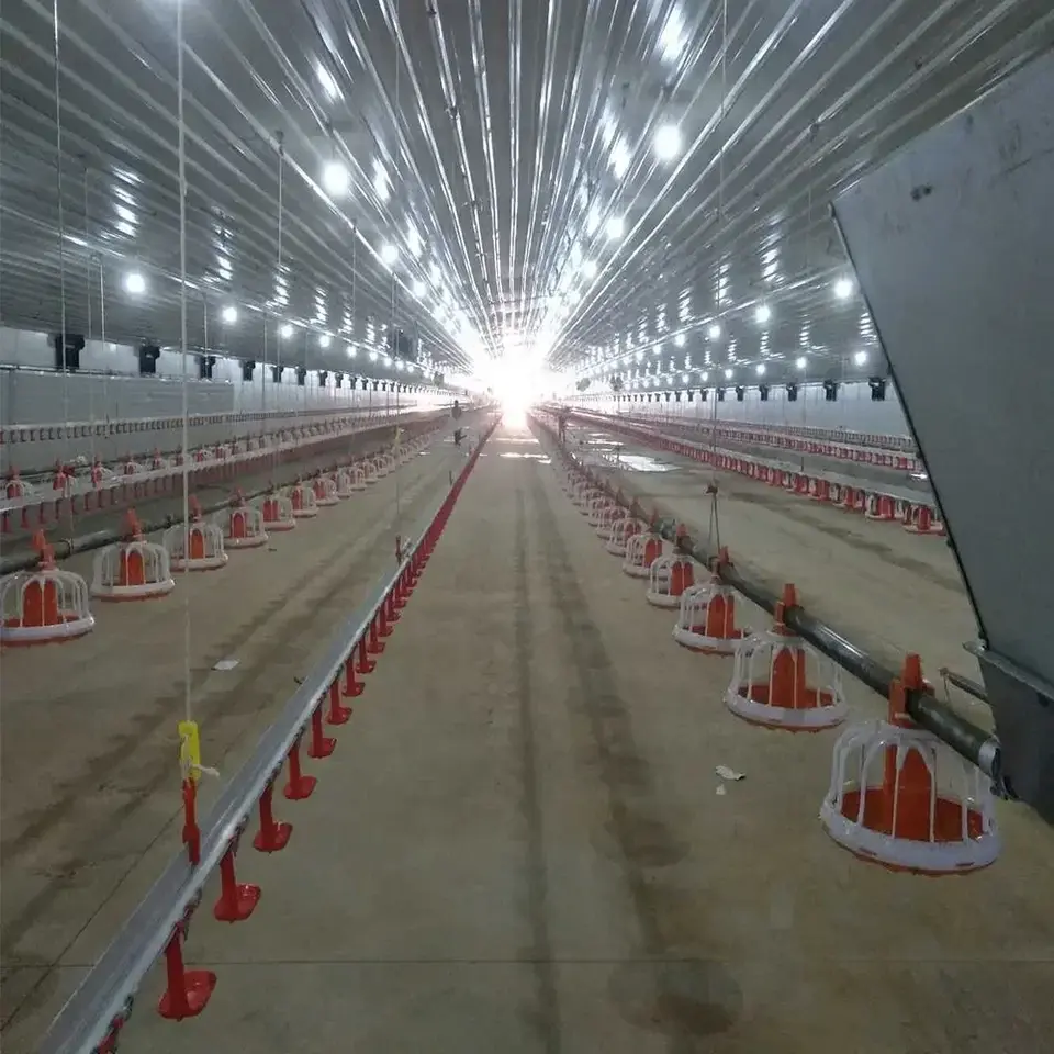 30000 Poultry Complete Large Broilers Chicken Shed Automatic Chicken House Feeding Drinking Plant Big Equipment Farm Line System