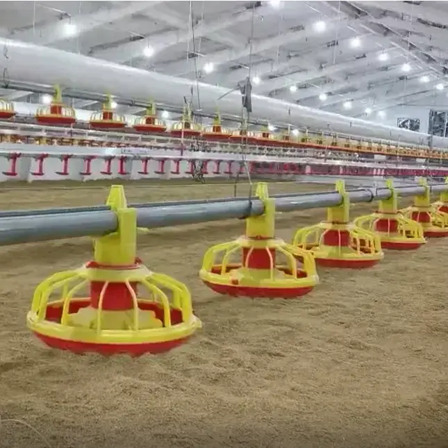 30000 Poultry Complete Large Broilers Chicken Shed Automatic Chicken House Feeding Drinking Plant Big Equipment Farm Line System