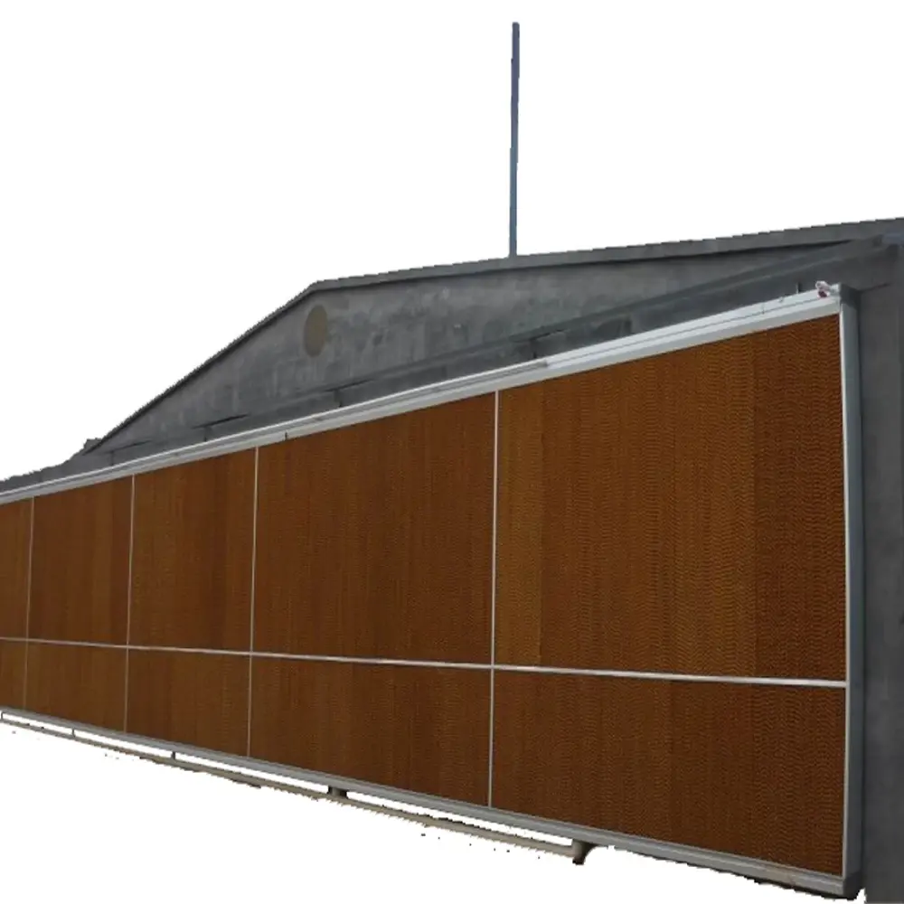 30000 Poultry Complete Large Broilers Chicken Shed Automatic Chicken House Feeding Drinking Plant Big Equipment Farm Line System