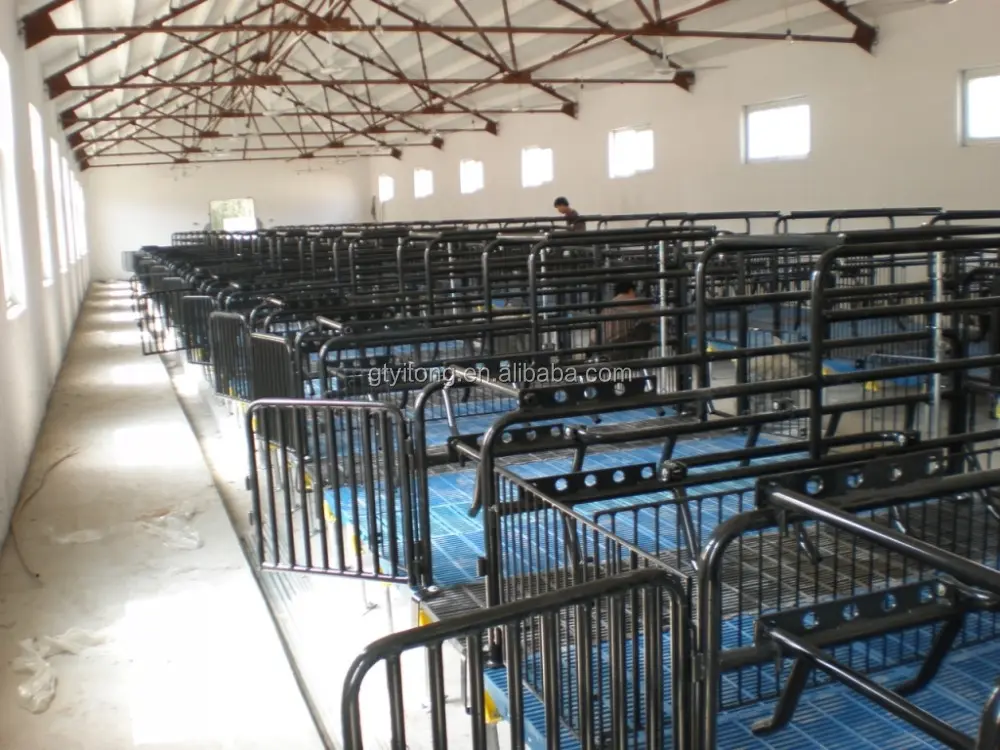 pig equipment pig farrowing crate for pig farming use