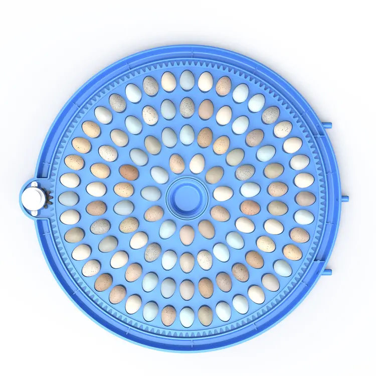 Automatic Quail Egg Incubator 103 Eggs Hatcher 12V 220V