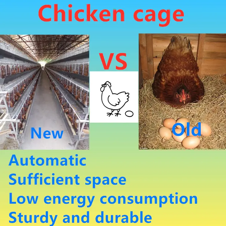 Hot Sale 96 / 160 Birds 3 / 4 Layers Poultry Chicken Feeding Cages System