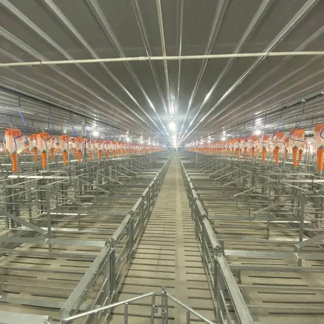 Best Selling Customized Pig Gestation Stainless Steel Cage New Condition for Rabbit Use Directly Manufactured in Vietnam