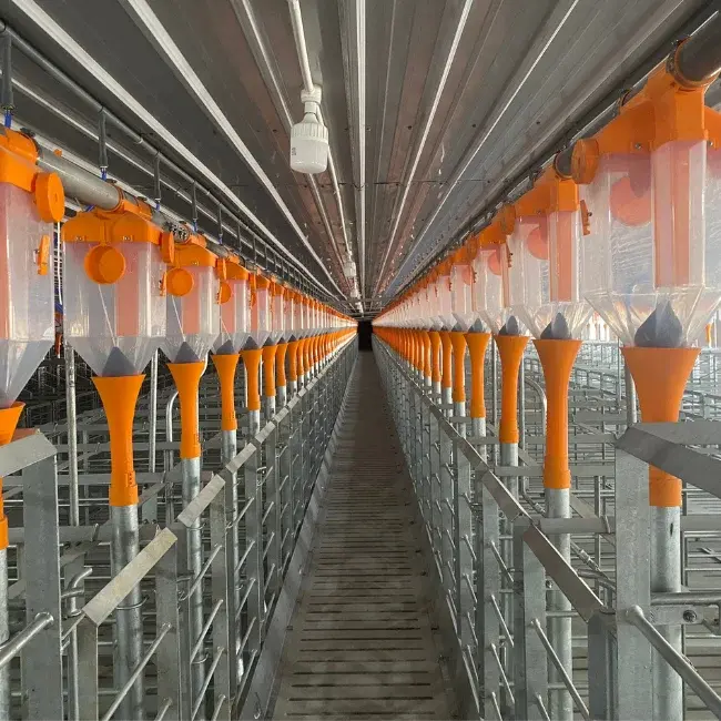 Best Selling Customized Pig Gestation Stainless Steel Cage New Condition for Rabbit Use Directly Manufactured in Vietnam