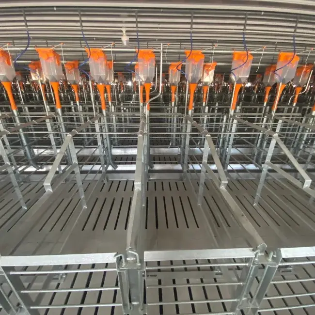Best Selling Customized Pig Gestation Stainless Steel Cage New Condition for Rabbit Use Directly Manufactured in Vietnam