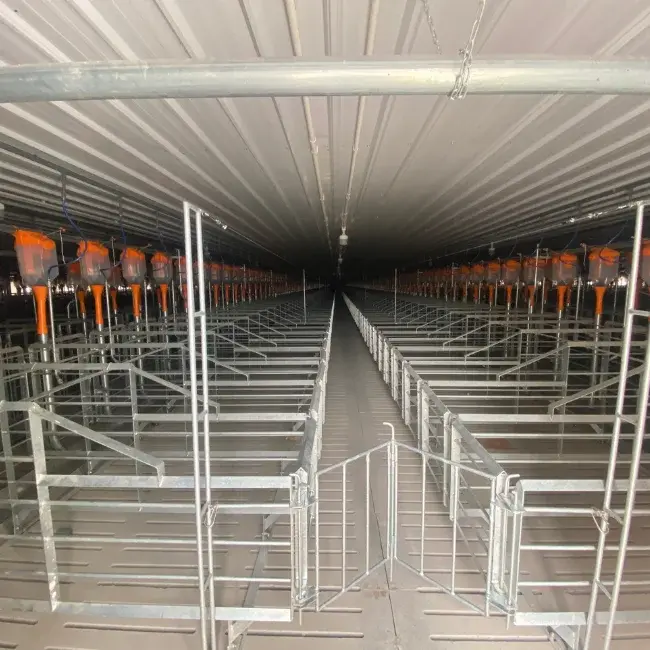 Best Selling Customized Pig Gestation Stainless Steel Cage New Condition for Rabbit Use Directly Manufactured in Vietnam
