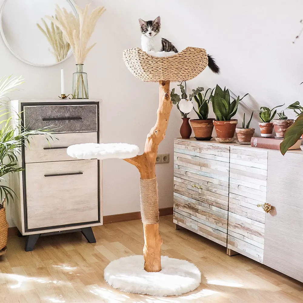 Modern Wood Cat Tree with Jumping Platform Scratcher Grinding Claw Toy Nest-Factory Wholesale Climbing Rack with Branches