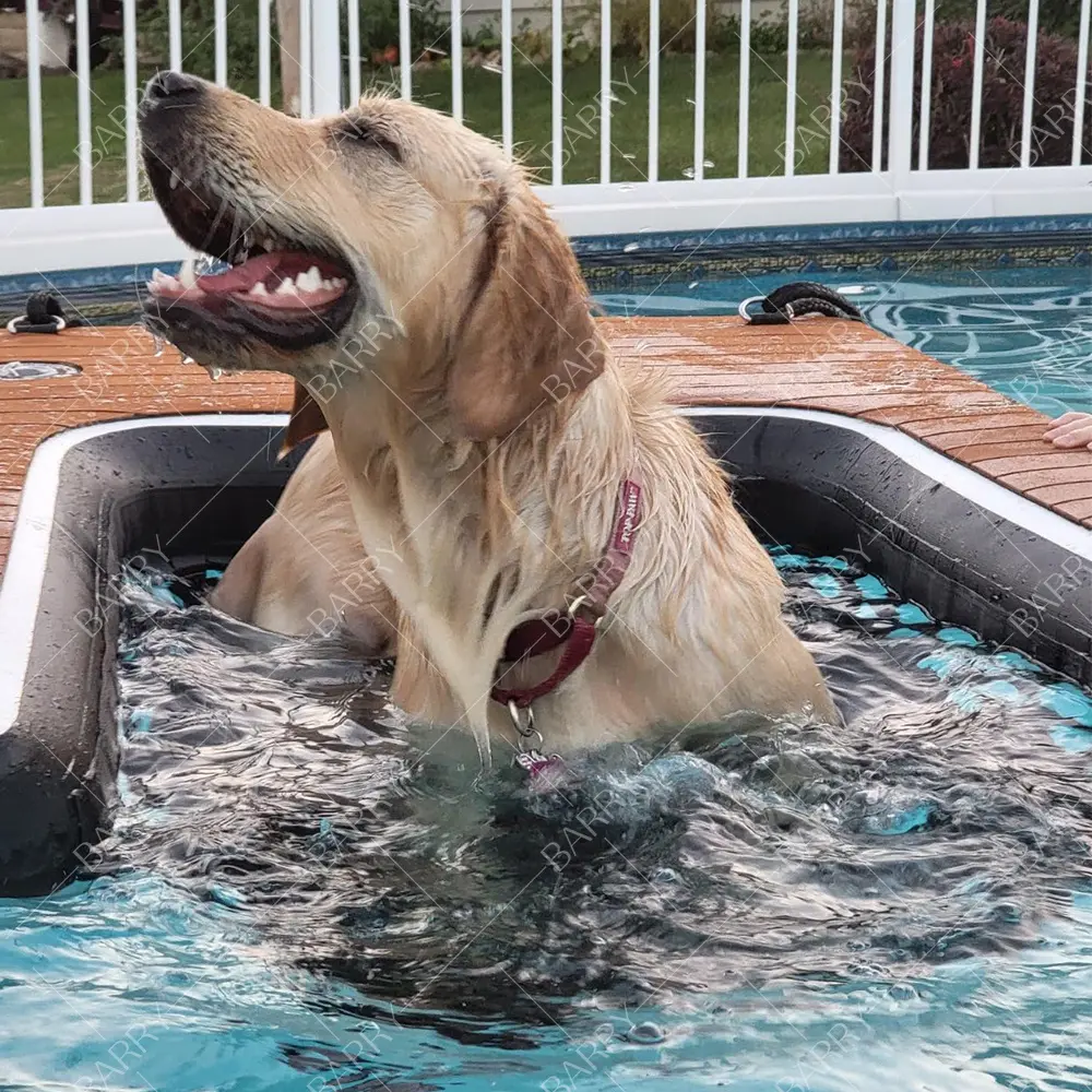 Bamboo Color Water Dogs Play Inflatable Pup Plank Dog Ramp Custom 100Cm 80Cm 60Cm Wide Outdoor Long Dog Float Floating Ramp