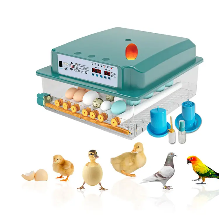 Mini Egg Incubator Fully Automatic Incubator 16 Eggs Hatching Machine