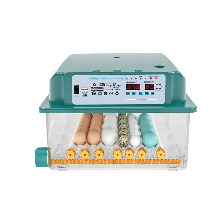 Mini Egg Incubator Fully Automatic Incubator 16 Eggs Hatching Machine