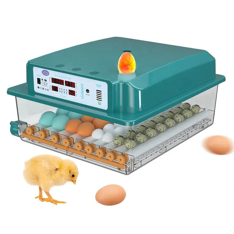Mini Egg Incubator Fully Automatic Incubator 16 Eggs Hatching Machine