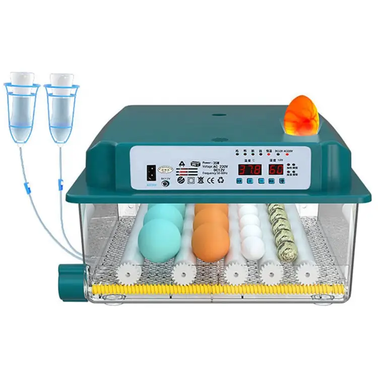 Mini Egg Incubator Fully Automatic Incubator 16 Eggs Hatching Machine