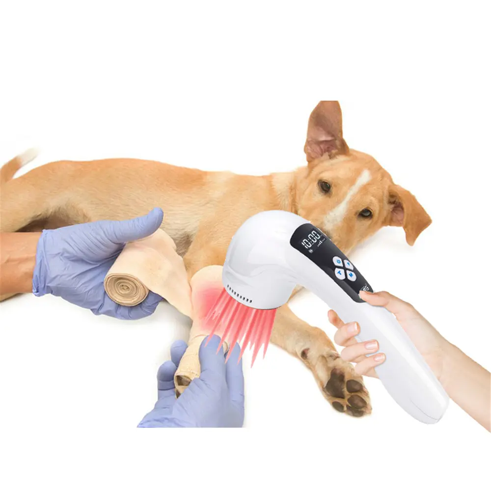 Cat Arthritis Pain Dog Ear Infection Veterinary Clinical Instrument by Infrared Light Device for Pet Pain Relief