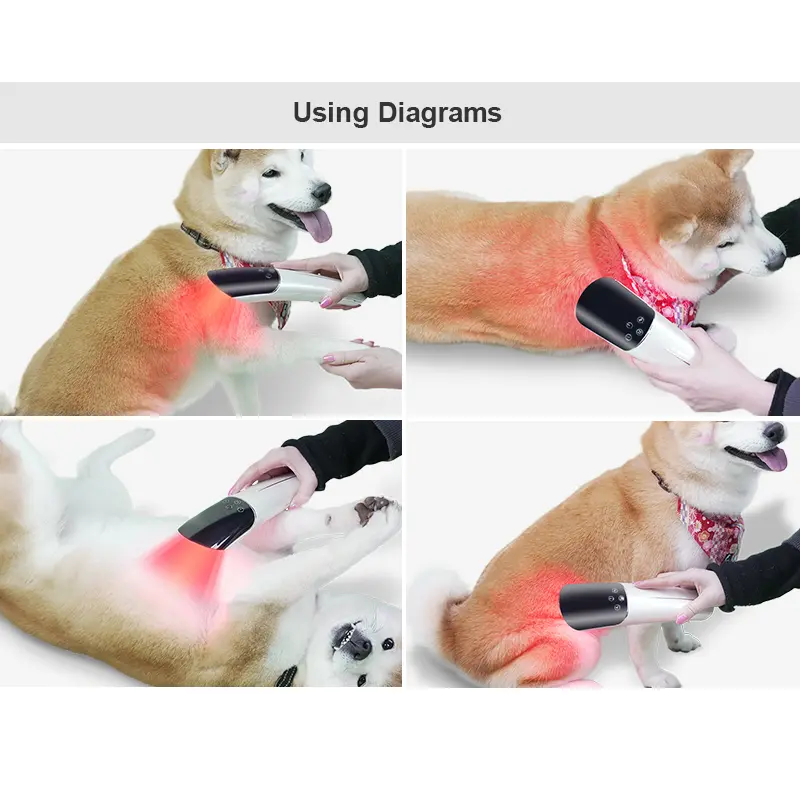 Veterinary Instrument Red Light Therapy Device Equine Specific Pet Equipment for Dog & Horse Care