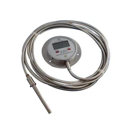 Industrial Temperature Control Table Digital Display WST-102 High-precision Digital Temperature Bimetal Thermometer Boiler