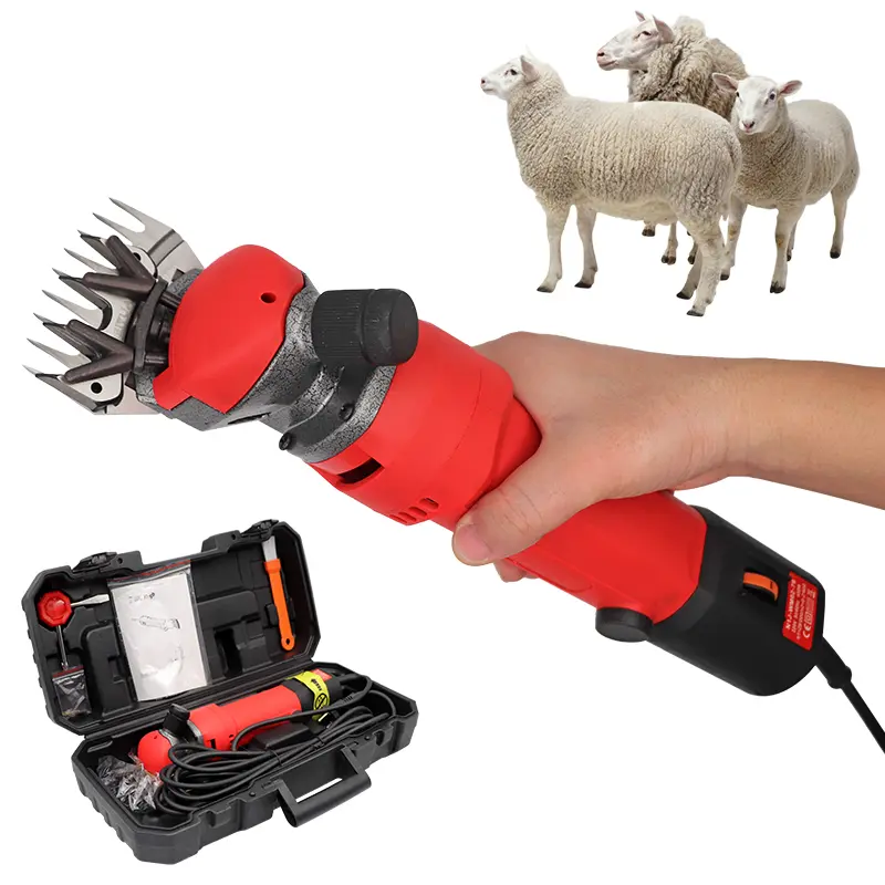324