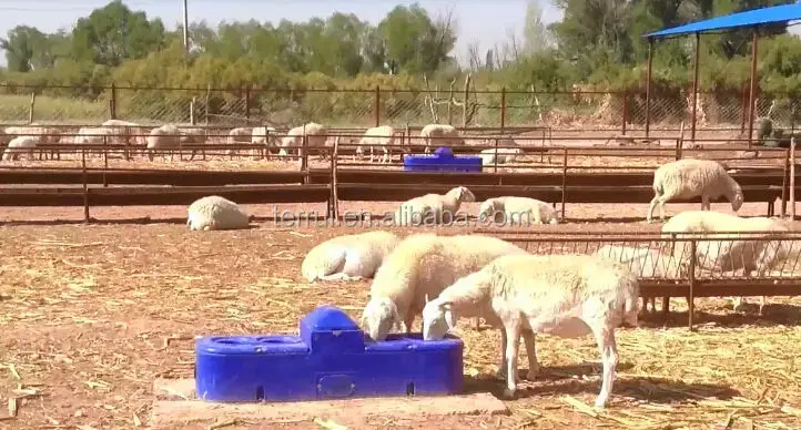 Animal Drinkers Sheep Goat Farm Equipment Sheep Feeders