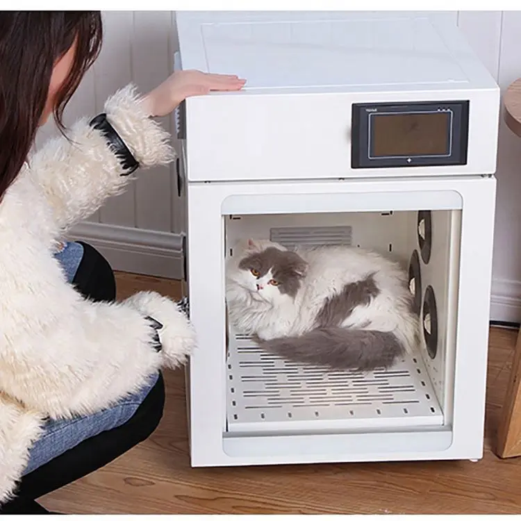 Adjustable Temperature Cat Pet Dryer Room Machine Automatic Pet Drying Box Dryer for Pet Cat Grooming