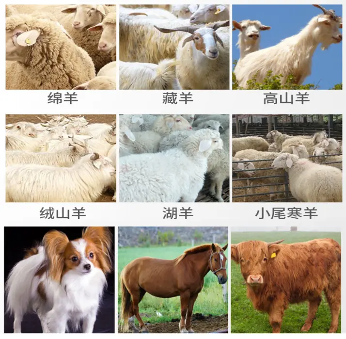 Cast Steel Flexible Shaft Wool Fader Shearing Equipment Electric Shaving Sheep Shearing Machine