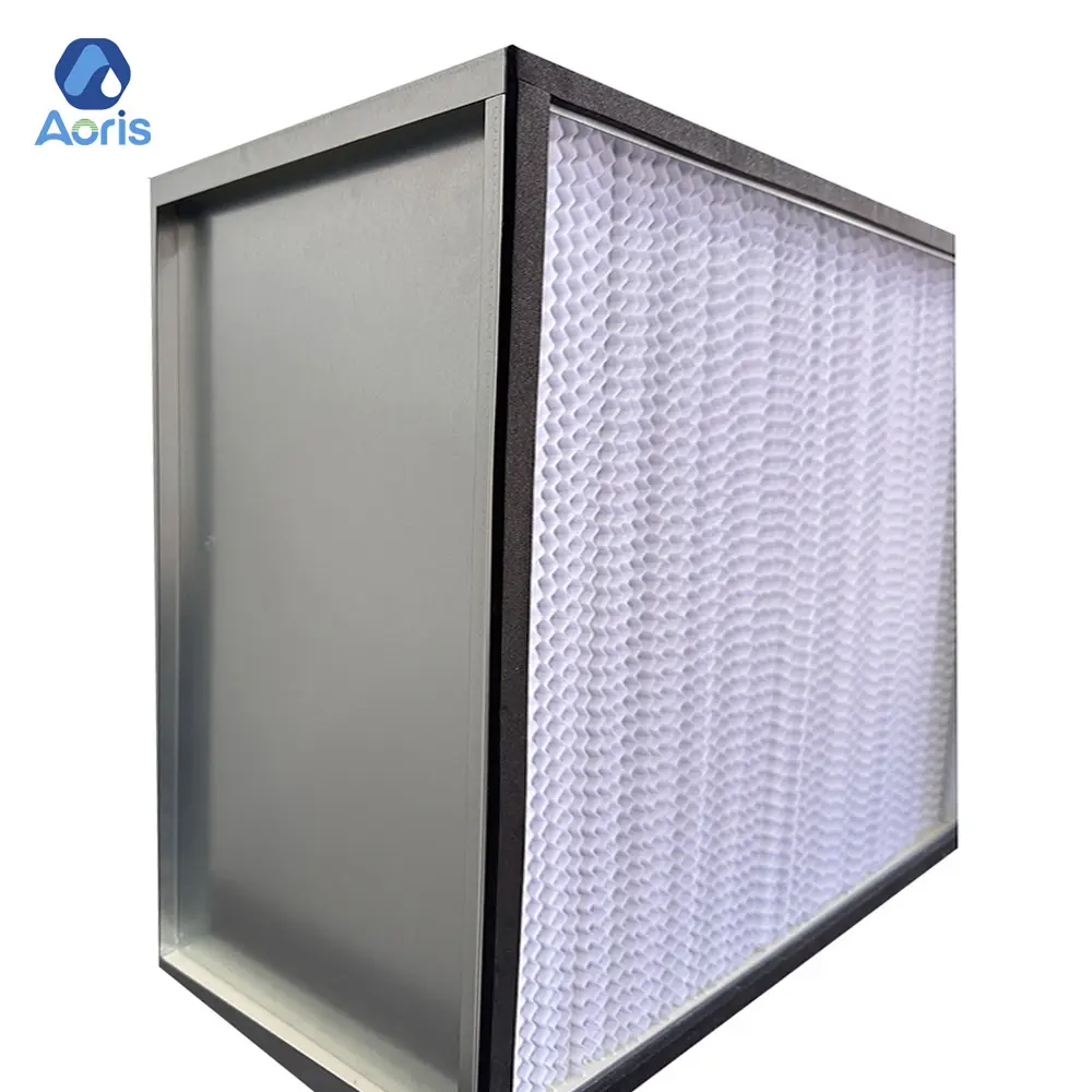 Hepa Filter HVAC Air Industry H13 Media Dust Removal Hepa Filter 24*24*2 OEM Activated Carbon Companies Manufacture H14 Filters