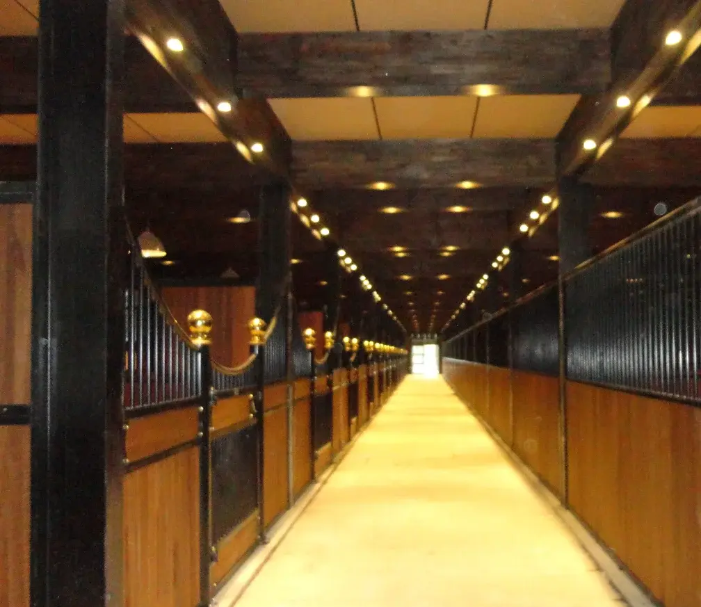 Stables are popular in Europe Bamboo wood heated galvanized iron Cheap sturdy and long-lastinghorse stable china