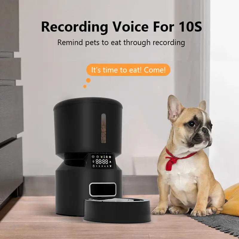 Hot New Automatic Cat Feeder Pet Dry Food Dispenser Triple Preservation with Stainless Steel Bowl & Twist Lock Lid