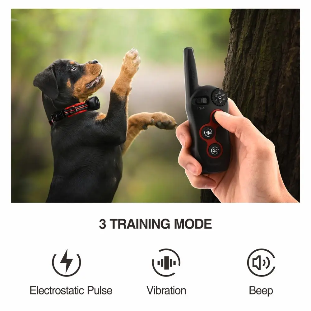 Hot Pet Supplies Wholesale Anti Bark Collars with Remote Control Electronic Luxury Summer Pet Training Collar Charm