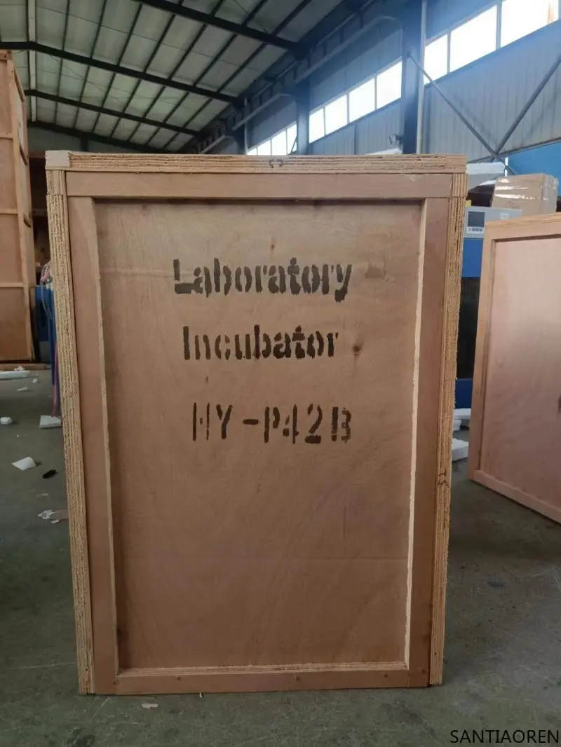 High Efficiency Full Automatic Incubator and Hatch for Sale