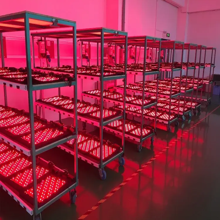 equine solarium equine medical horse boots