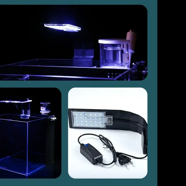 Back filter glass tank sea water aquarium aquarium