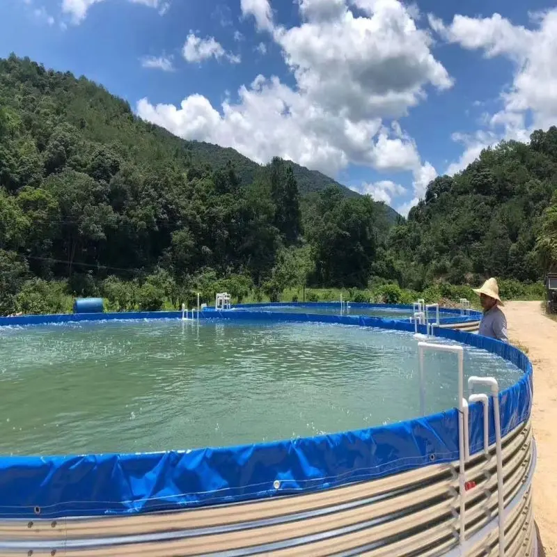 Large PVC Galvanized Sheet Circular Fish Tank, Dedicated Water tank for Aquaculture Farms, Silver Carp Fish tank for Aquaculture