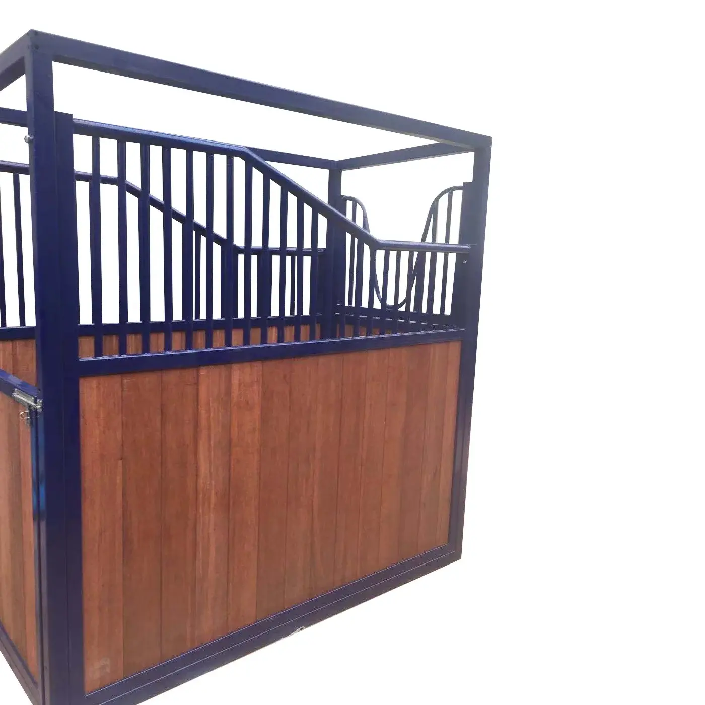 Equine Horse stable gynecologic barre medical room