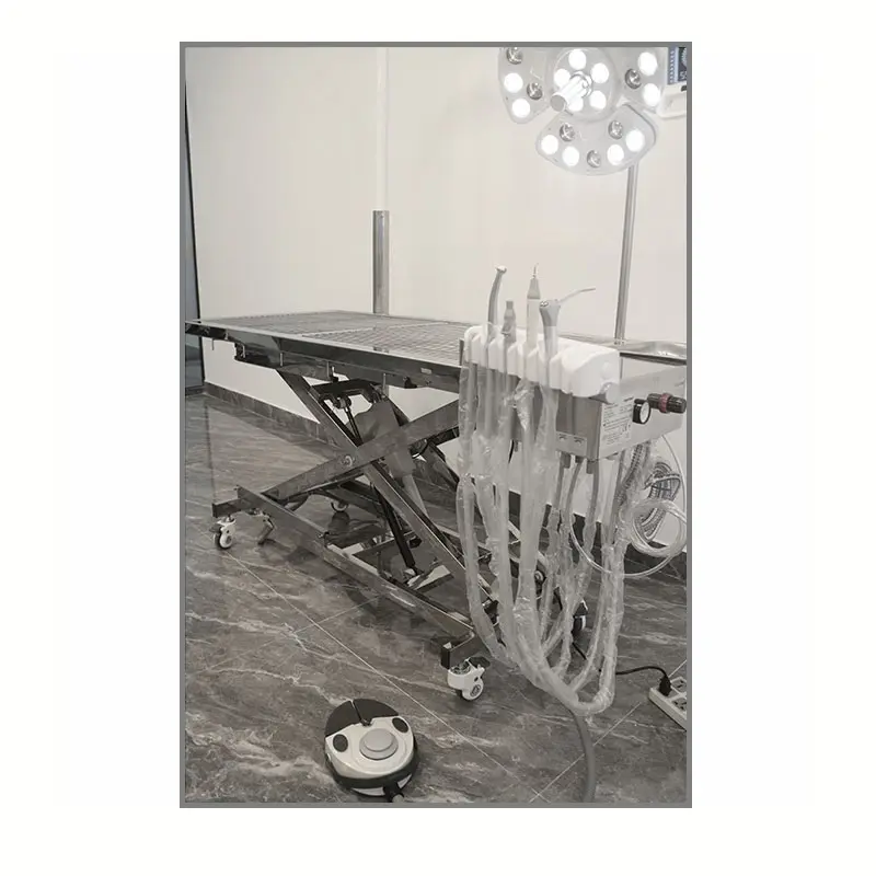 High Quality Large Dog Pet Grooming Table Pet Electric Veterinary Operating Desk