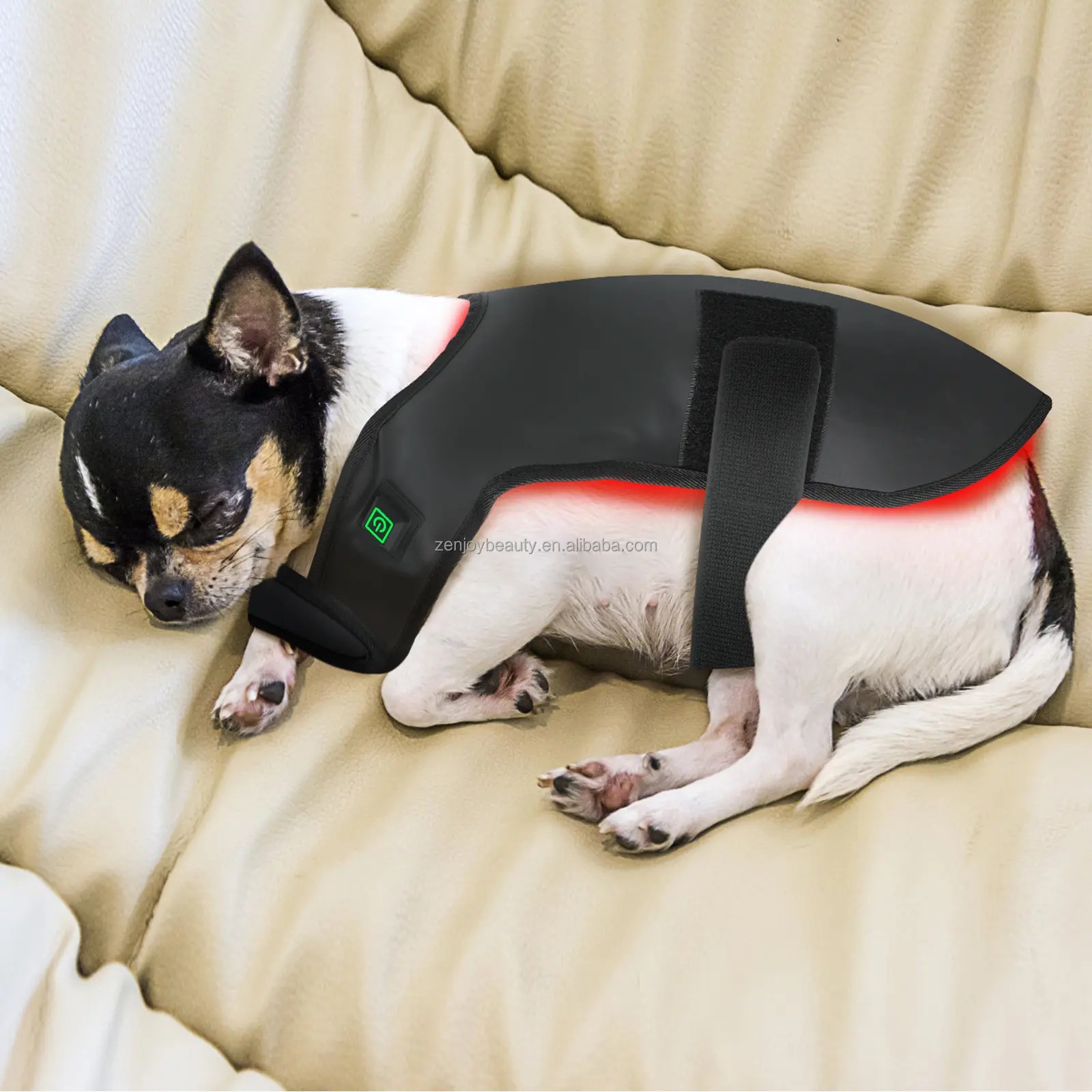 2024 Custom 660mm 850nm Infrared Red Light Therapy Dog Mat LED Red Light Therapy Blanket for Dog Pain Beauty Personal Care