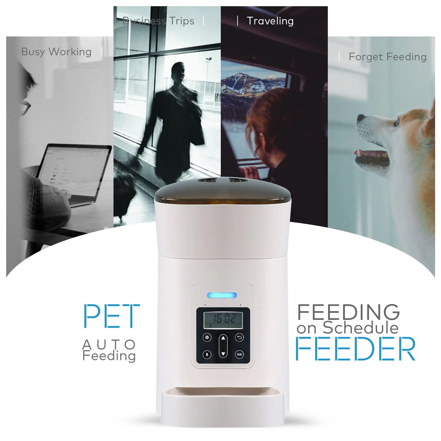 The Newest Automatic Pet Feeder Programmable Pet Feeder Dog Bowl Scale Automatic Dog Cat Pet Food Dispenser Timed