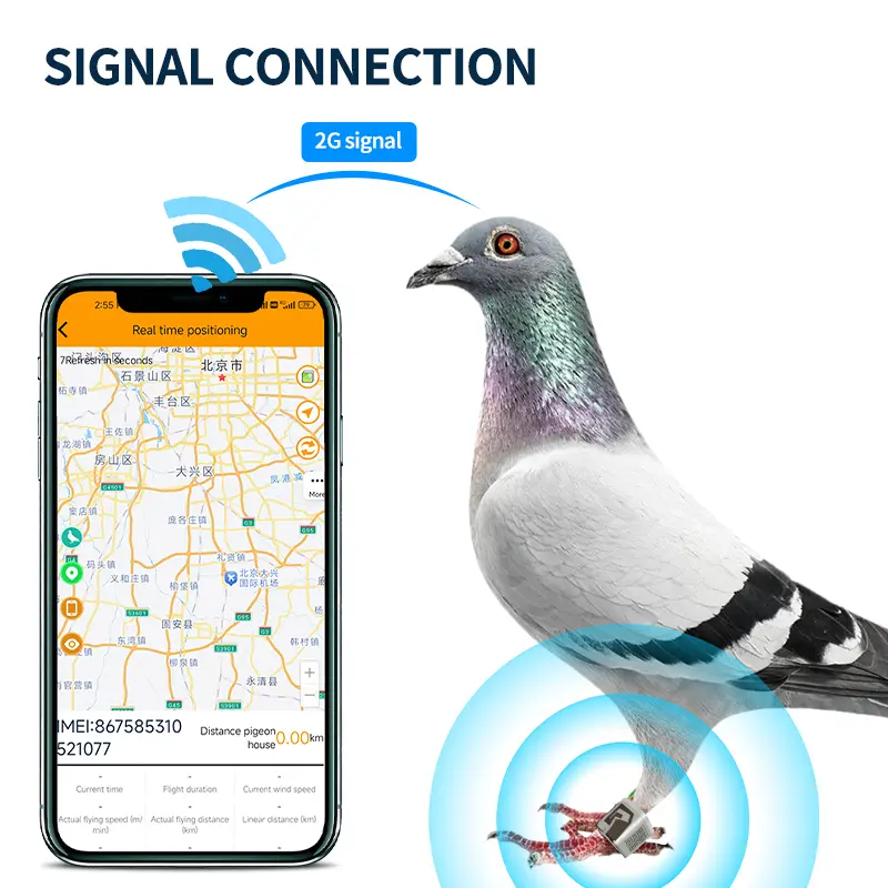 GPS Tracker Ring IP67 Waterproof 2G Network GSM GLONASS Mode for Birds and Pigeons