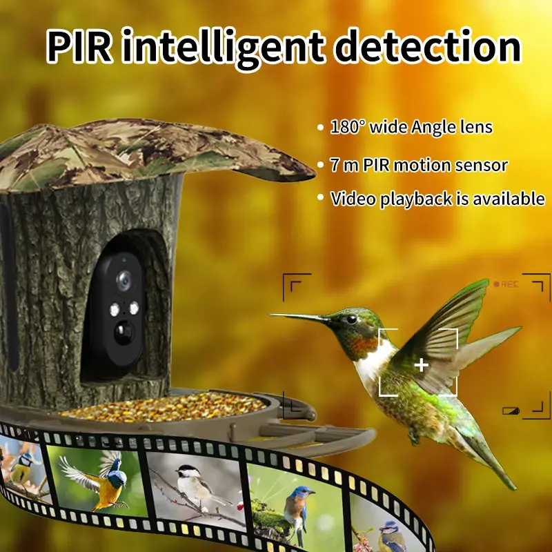 3MP Solar Garden Wildlife Waterproof Recorder PIR Detection WiFi 4G Smart Bird Feeder Camera