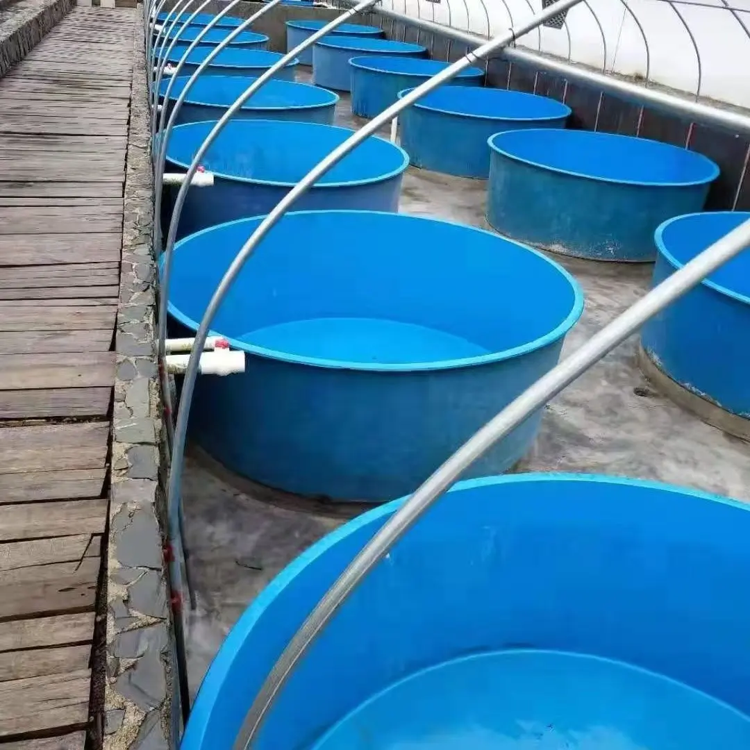 Customized size Large Rotundity Fiberglass Fish Tanks Fish Farming Tank  Environmental Protection