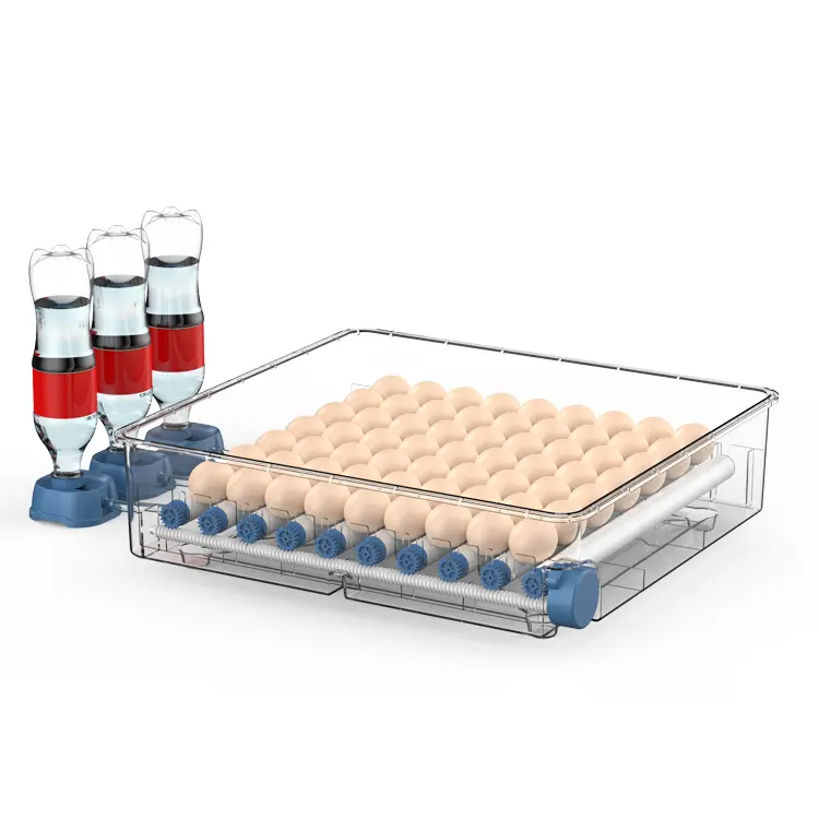 Chicks Hatching Machine Wholesale Automatic Egg Incubators 240 Eggs Incubator Heater