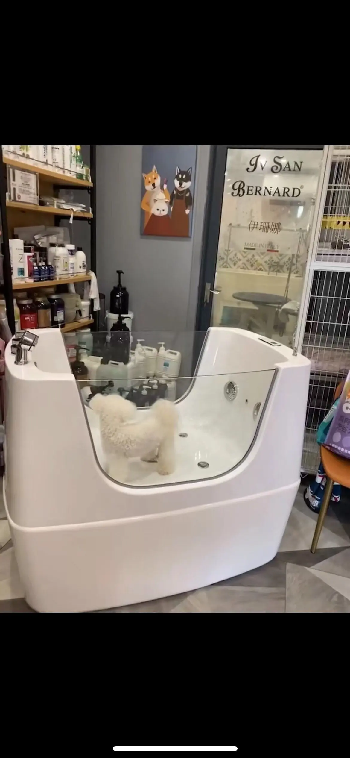 Big Pets Acrylic Wash Tubs, Cat Dog Hospital Bathing Tub Spa Massage Freestanding whirlpool Bathtub for Pets
