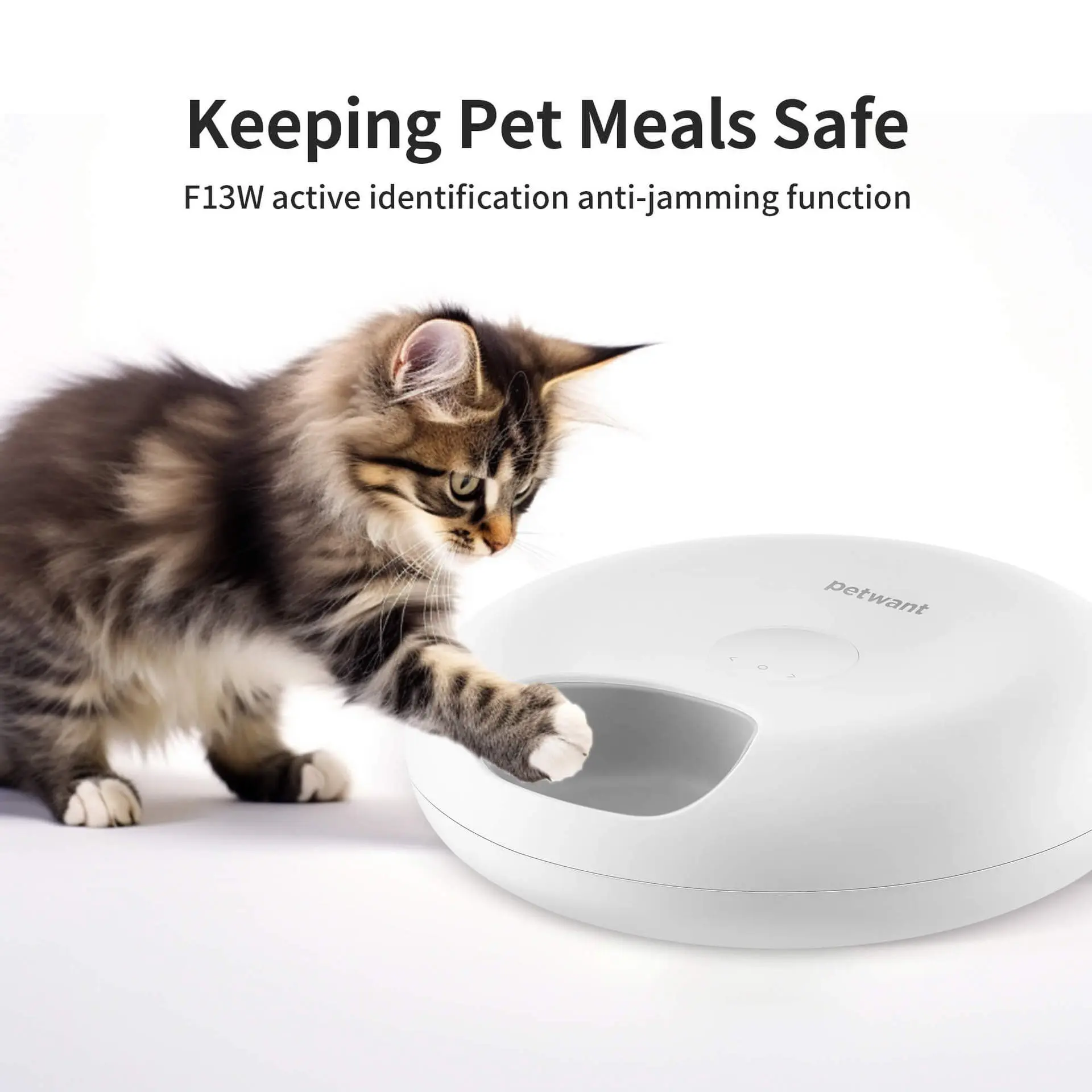 Cheap Automatic Dry Food Dispenser Smart Automatic Cat Food Dispenser App Control Smart Dry and Wet Food