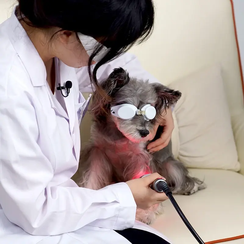 Animals Deep Tissue 10w-30w Laser Physiotherapy Machine Rehabilitation for Cats Dogs Horses