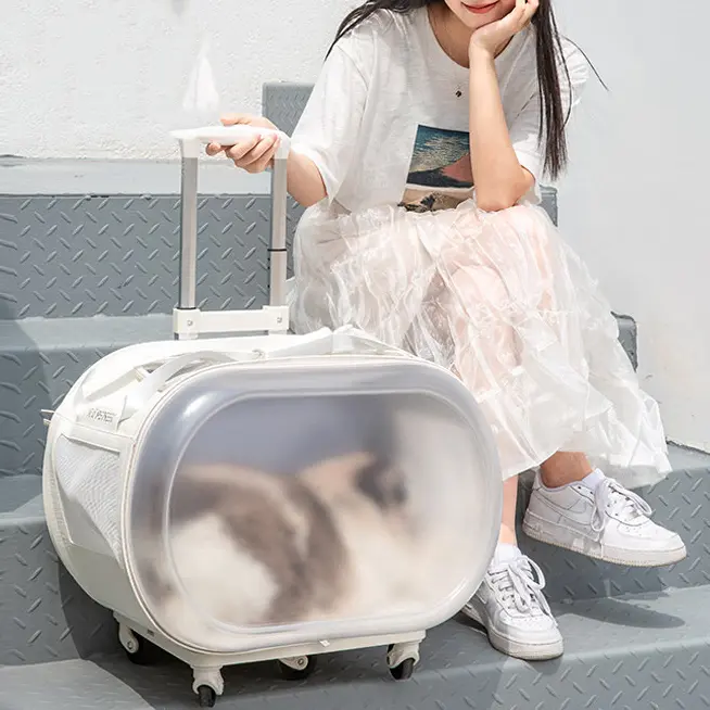 Wholesale Multifunctional Pet Outing Box Detachable Cat Travel Bag Portable Trolley Dog Backpack