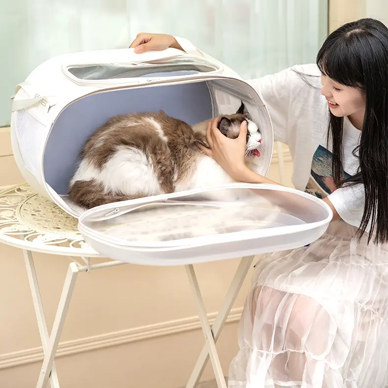 Wholesale Multifunctional Pet Outing Box Detachable Cat Travel Bag Portable Trolley Dog Backpack